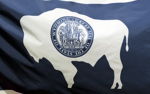 The State Laws of Wyoming