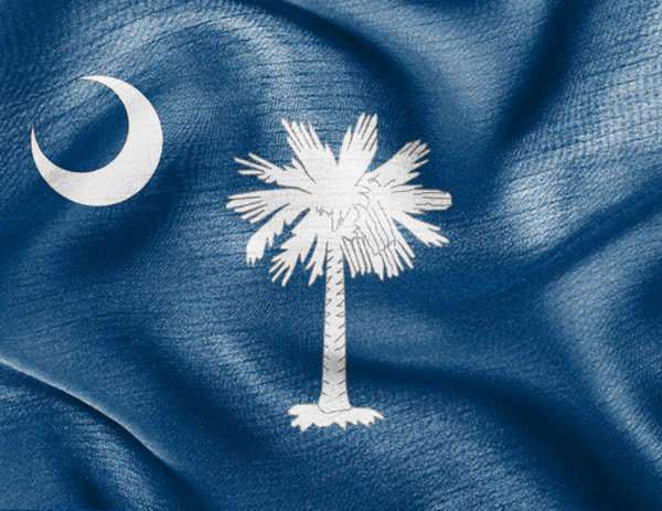 The State Laws of South Carolina