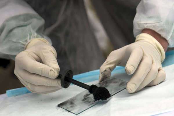 Forensic Expert Witness Role