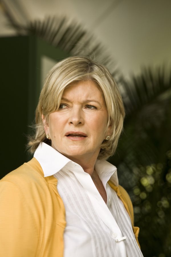 Martha Stewart Back in Court Again