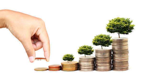 Learn the Basics About Investments