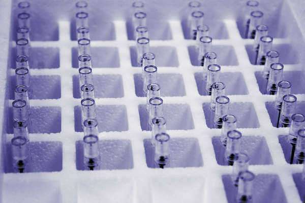 Artificial Insemination