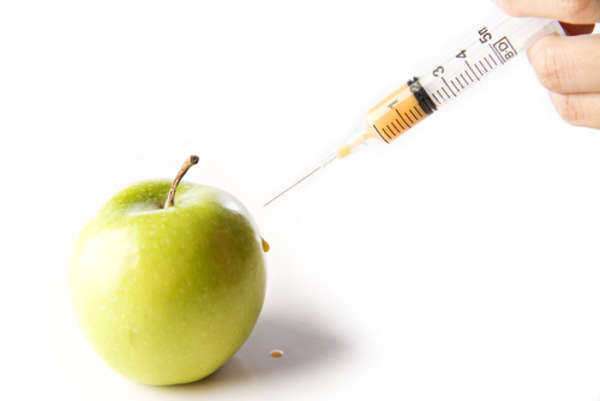 Envenenamiento por Alimentos