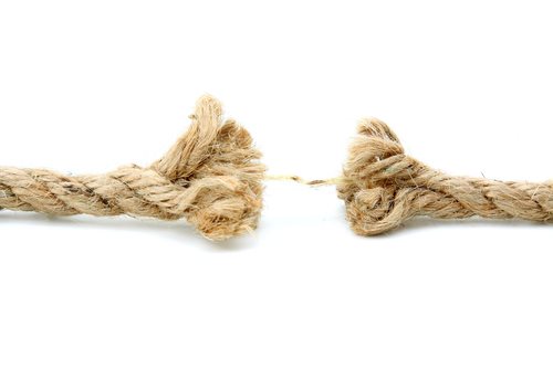 Sandra Bullock Files for Divorce! Why