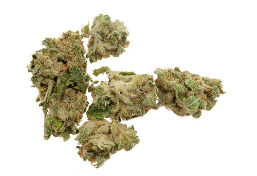 Is It True: Lil Wayne Arrested