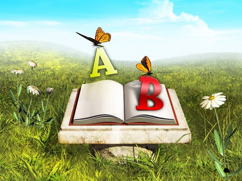 What are The Focuses of Environmental Education