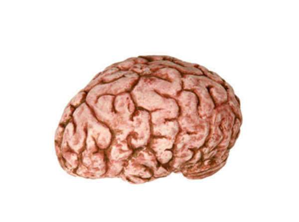 Brain Injury Law Firm